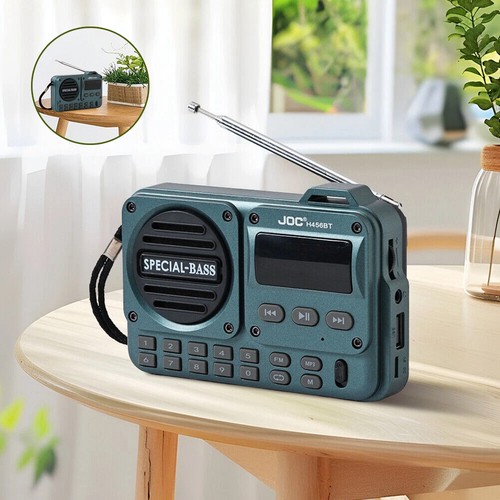 Portable radio bluetooth - fm,